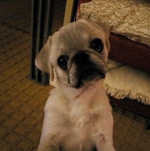 Meet your Posher, Elizabeth